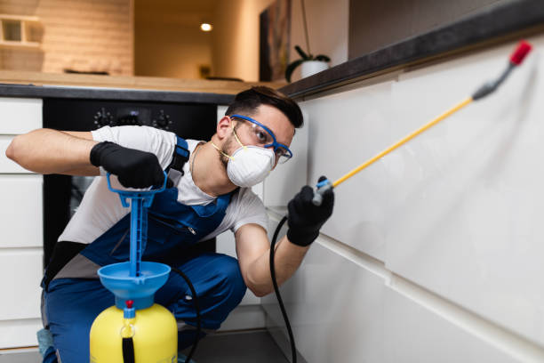 Reliable Glen Head, NY Pest Control Solutions