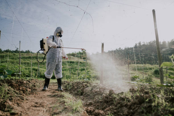Best Pest Removal Services  in Glen Head, NY