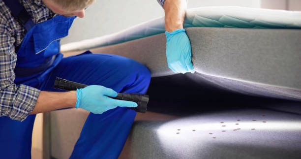 Best Rat Extermination Near Me  in Glen Head, NY