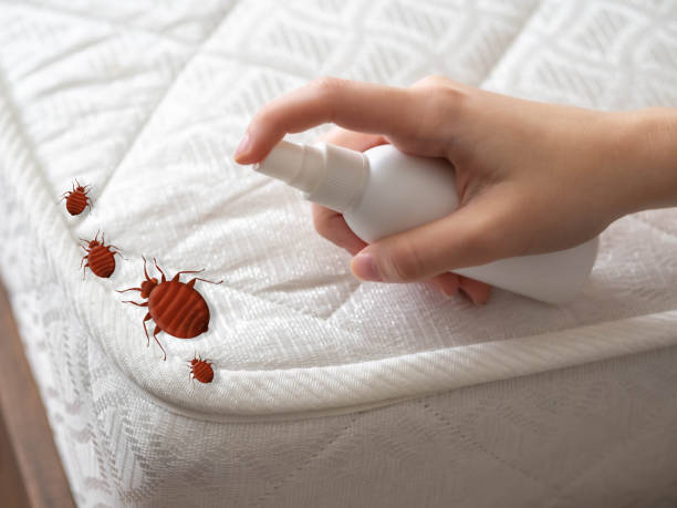 Best Pest Inspection Near Me  in Glen Head, NY